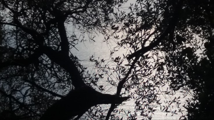 Chiesa di Santa Giulia - Chiavari